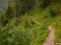 2014-08-02_06FritzPflaum-Steig (386).JPG